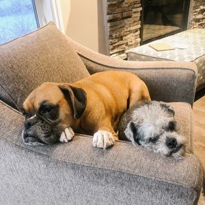 Meet your Posher, Laurie